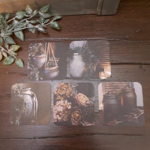 Set met 10 onderzetters van viltkarton met stillevens. Dubbelzijdig bedrukt.