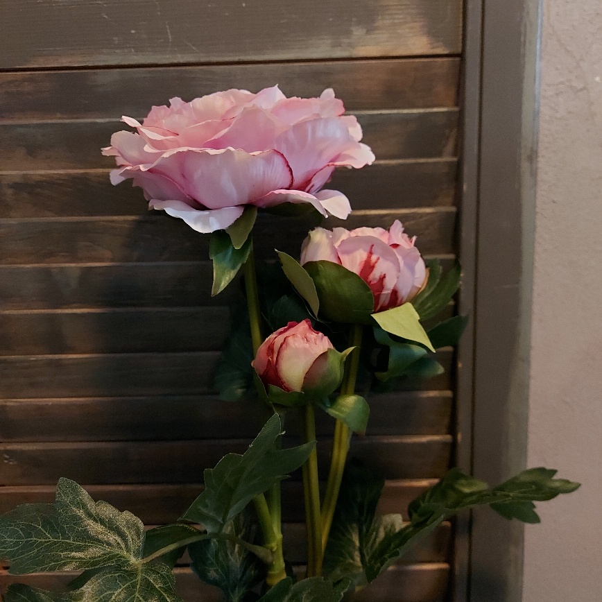 Pioenroos zijdenbloem met drie bloemen in een zacht roze kleur van het merk Countryfield.