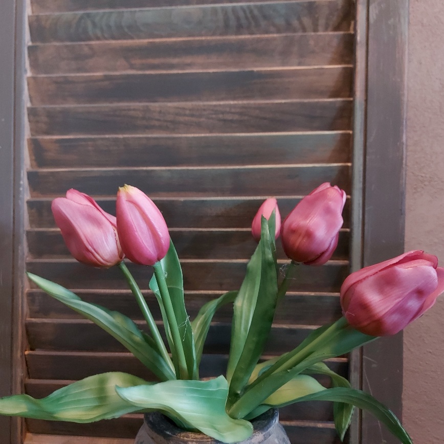 Bosje met 5 donker roze kunst tulpen van het merk Countryfield.