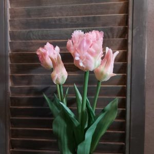 Bosje van 5 roze papegaaitulpen van het merk Countryfield.