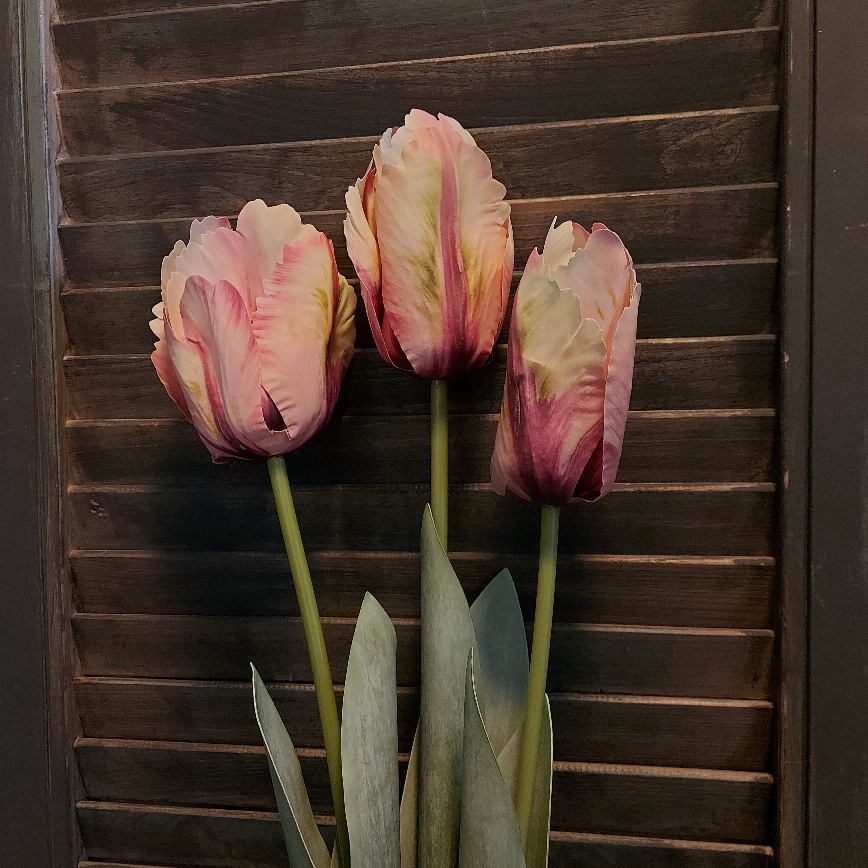 Bos met drie roze kunst papegaaitulpen met een lange steel, van het merk Countryfield.