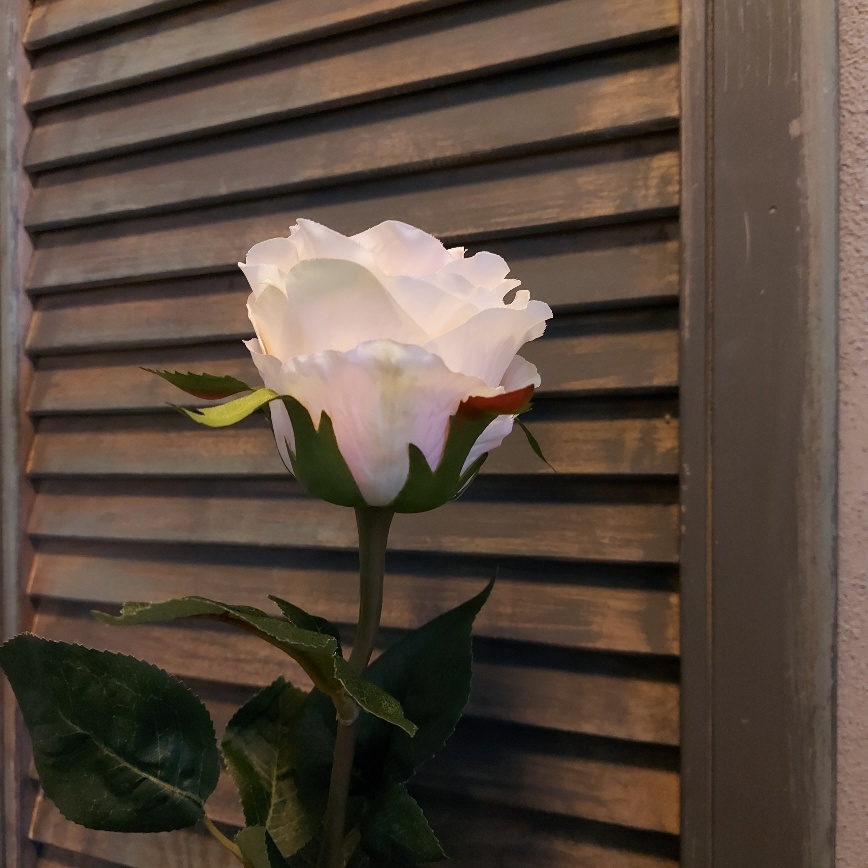 Zacht roze zijden roos van het merk Countryfield.