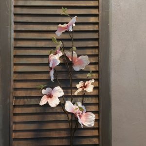 Kornoelje zijdenbloem in een zacht roze kleur van het merk Countryfield.