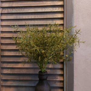 Bosje met vijf groene Asparagus kunst takjes van het merk Countryfield.