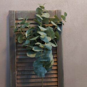 Eucalyptus kunsttak met rond groen blad van het merk Countryfield.