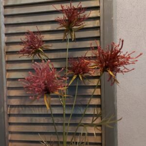 Hakea kunstbloem met bordeaux rode bloemen, van het merk Countryfield.