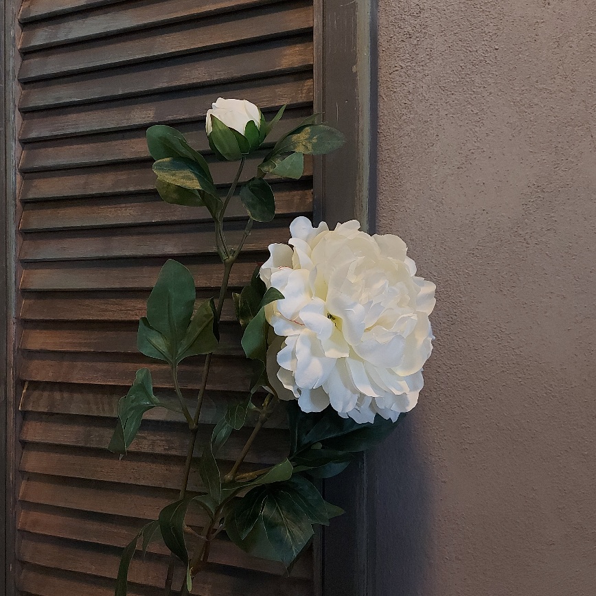 Pioenroos zijdenbloem met twee bloemen in een witte kleur van het merk Countryfield.