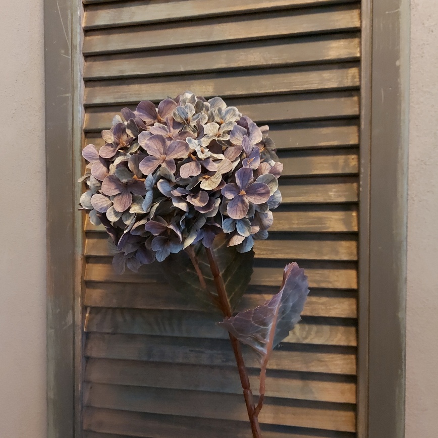 Hortensia zijdenbloem in een paarse kleur, van het merk Countryfield.