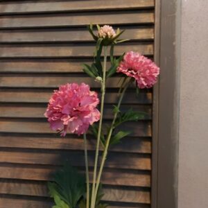 Scabiosa zijdenbloem in een roze kleur, van het merk Countryfield.