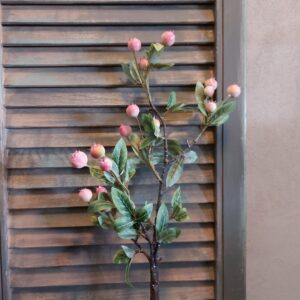 Twijg met appelvruchten in een zacht roze kleur, van het merk Sylxz.