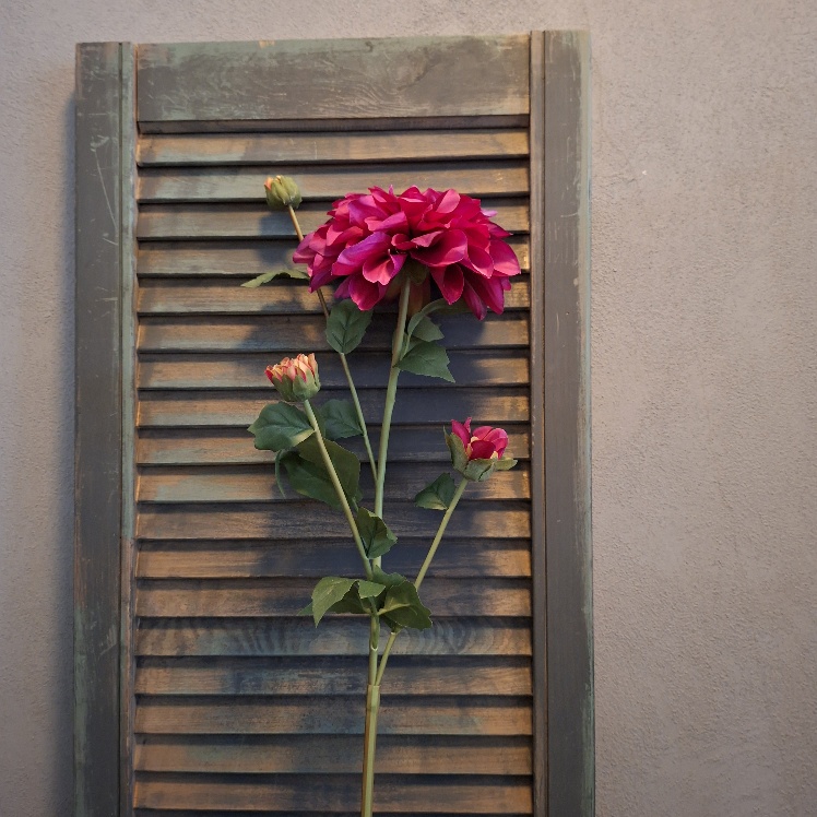 Dahlia kunstbloem met bloemen in een geranium rode kleur, van het merk Sylxz.