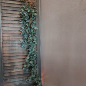 Kunstplant eucalyptus hangplant in een groene kleur, van het merk Sylxz.