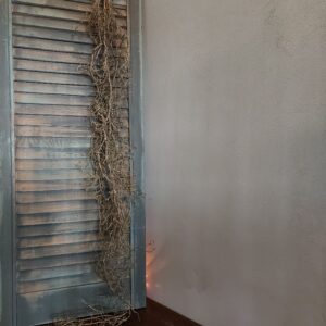 Kunstplant tillandsia in een bruine kleur, van het merk Sylxz.