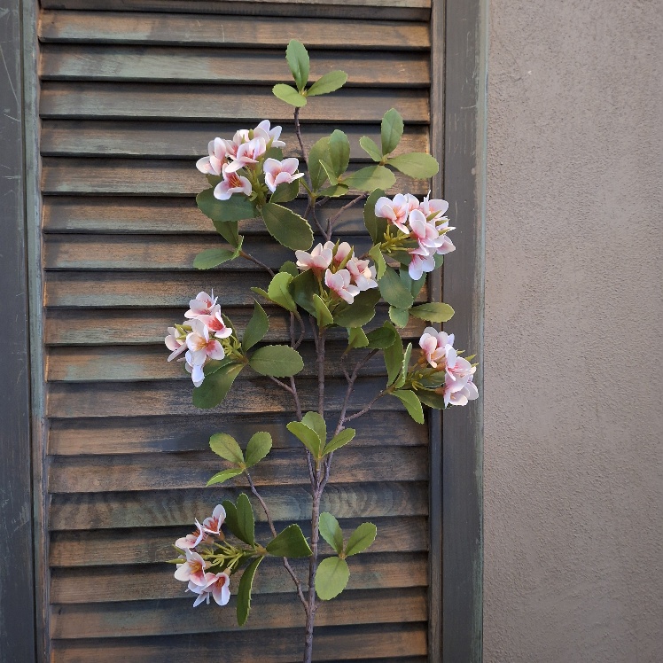 Pronkklokje kunstbloem met fijne roze bloemen, van het merk Sylxz.
