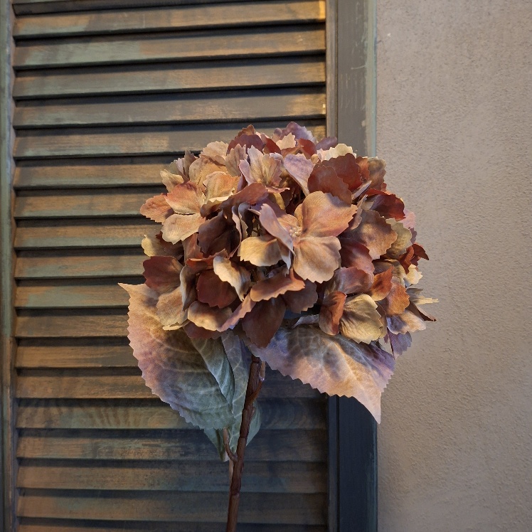 Hortensia kunstbloem in naturel kleurtinten van het merk Sylxz.