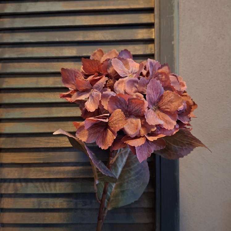Hortensia kunstbloem in een donker roze kleur van het merk Sylxz.