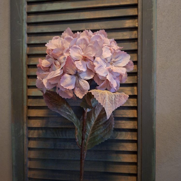 Hortensia kunstbloem in een roze kleur van het merk Sylxz.