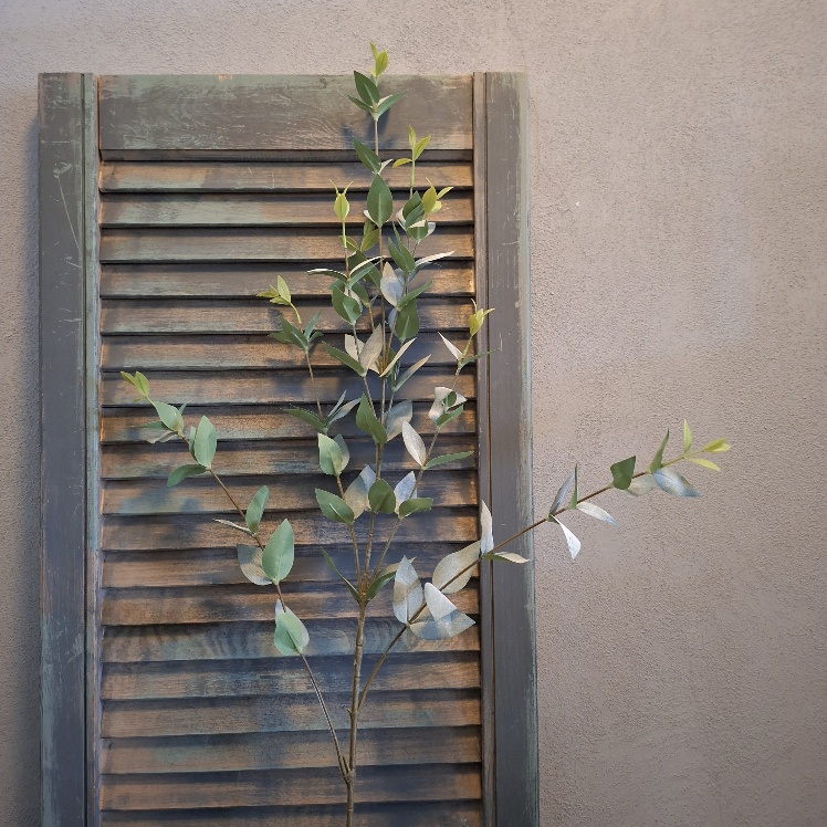 Twijg met grijsgroen 'Real Touch' ligusterblad in een kunstvariant, van het merk Sylxz.