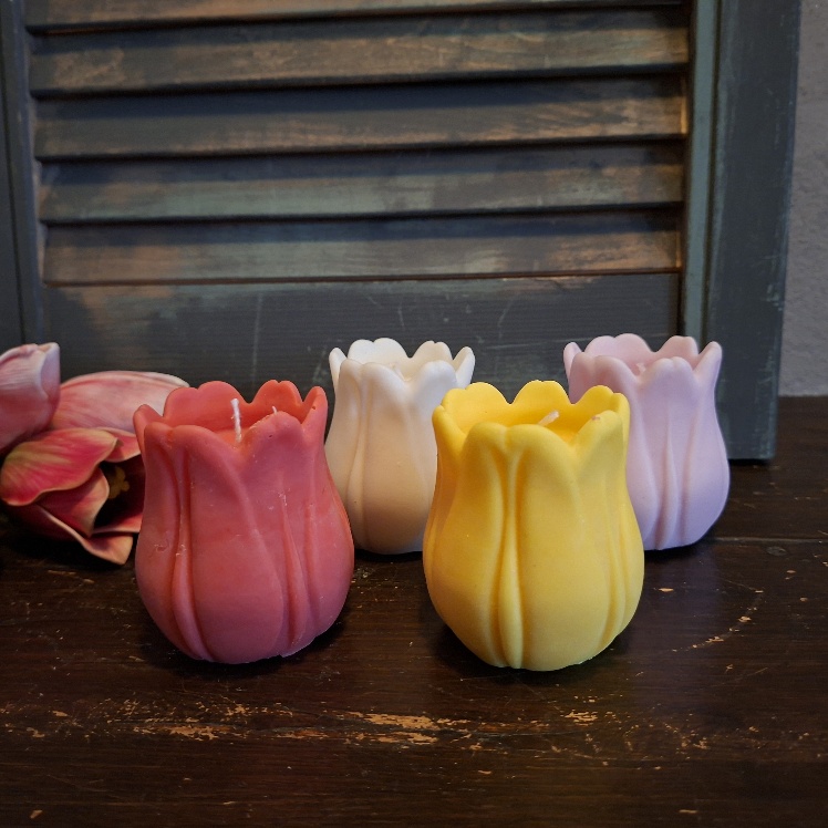 Handgemaakte tulpen kaarsjes van sojawas, verkrijgbaar in diverse kleuren.