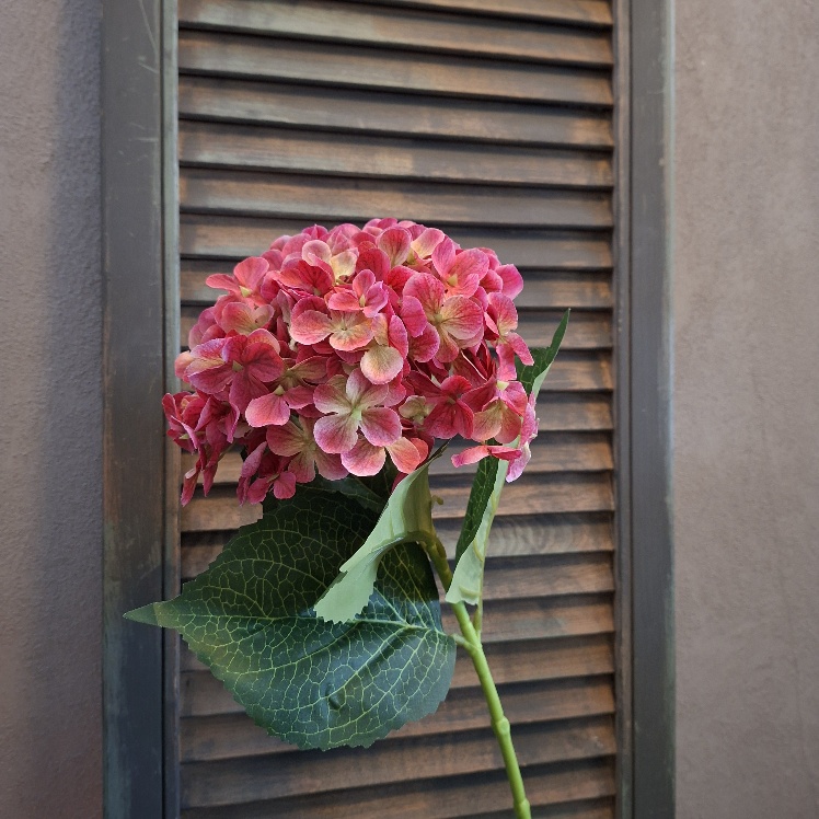 Hortensia kunstbloem in een fuchsia roze kleur, van het merk Countryfield.