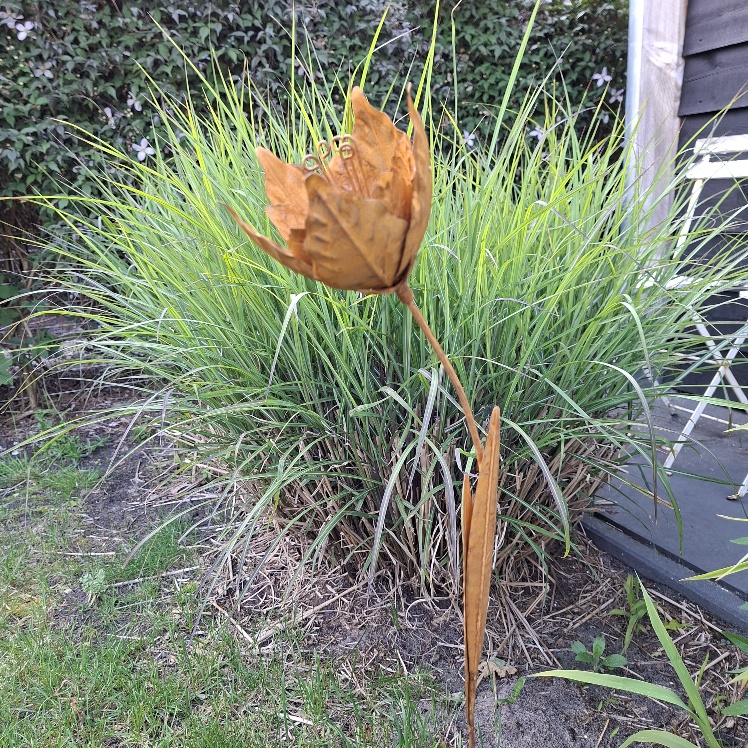 Decoratieve tuinsteker van metaal met een bloem van het merk Countryfield.