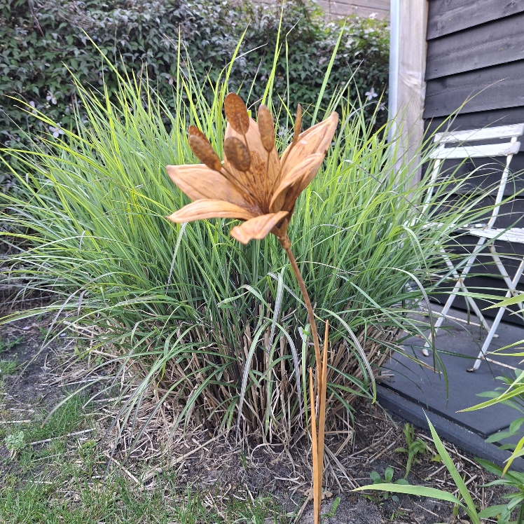Decoratieve tuinsteker van metaal met een bloem van het merk Countryfield.