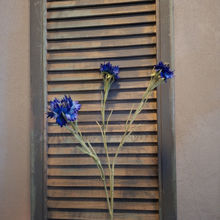 Korenbloem kunstbloem met bloemen in een donker blauwe kleur, van het merk Sylxz.