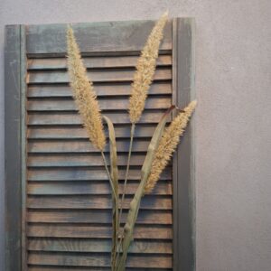 Graspluim kunstplant met drie geelbruine grasaren van het merk Countryfield