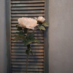 Pioenroos zijdenbloem met twee bloemen in een crème kleur van het merk Countryfield.