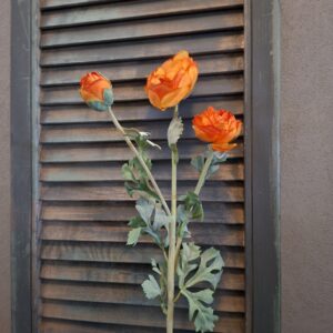 Ranonkel zijdebloem in een oranje kleur van het merk Sylxz.