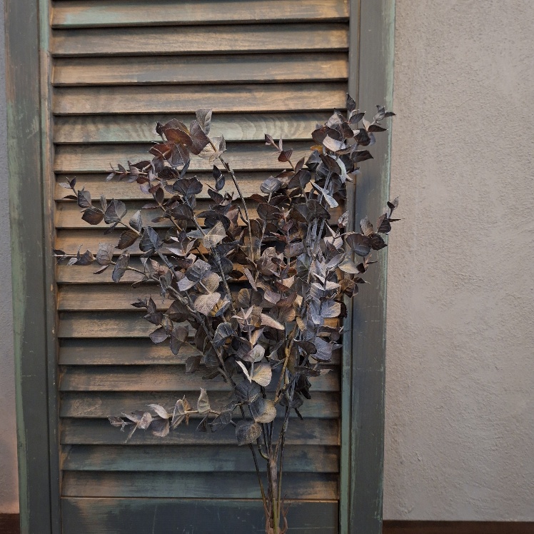 Eucalyptus kunstplant met ronde donker grijze blaadjes van het merk Countryfield.