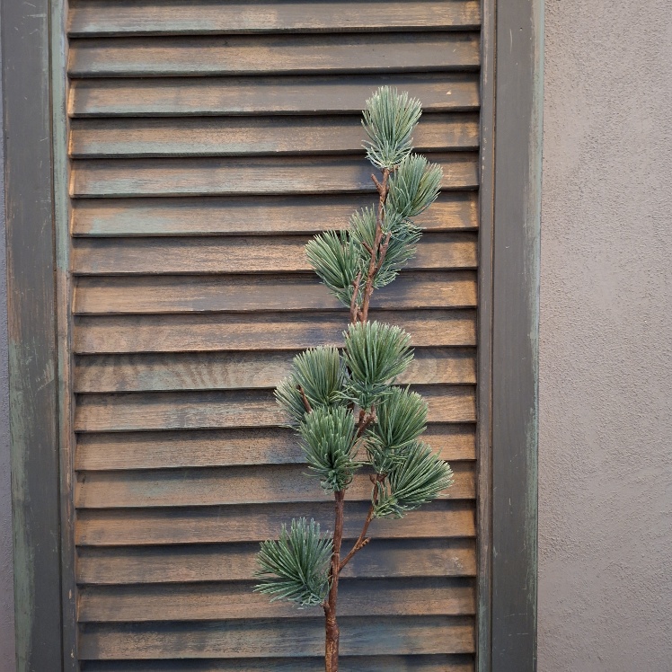 Kunsttak Pinus dennentak, van het merk Countryfield.