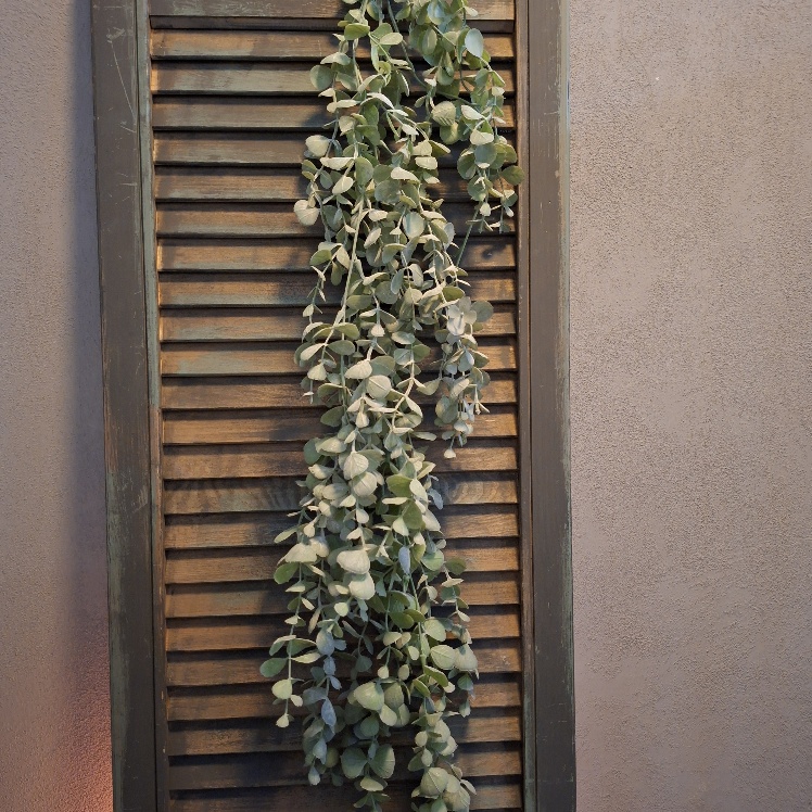 Eucalyptus kunstplant hangplant met ronde grijsgroene blaadjes van het merk Countryfield.