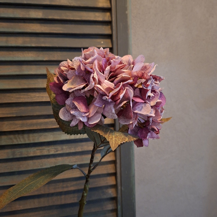 Hortensia zijdenbloem in een paarse kleur, van het merk Countryfield.