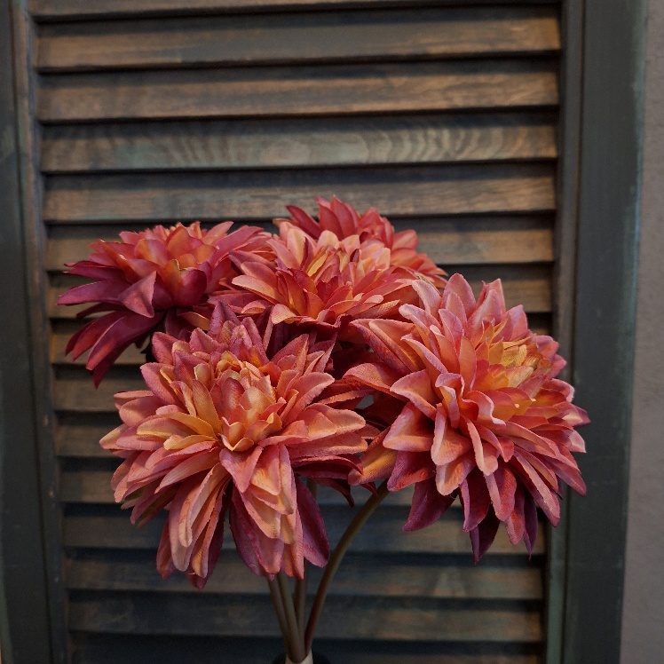 Bosje Aster kunstbloem met vijf bloemen in een oranjerode kleur, van het merk Sylxz.