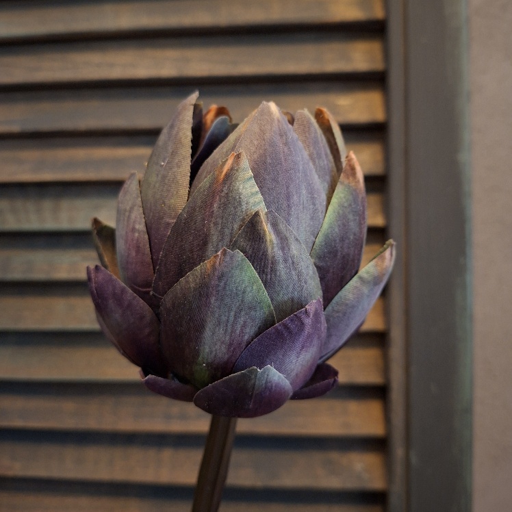 Artisjok zijdenbloem in een paarsgroene kleur, van het merk Sylxz.