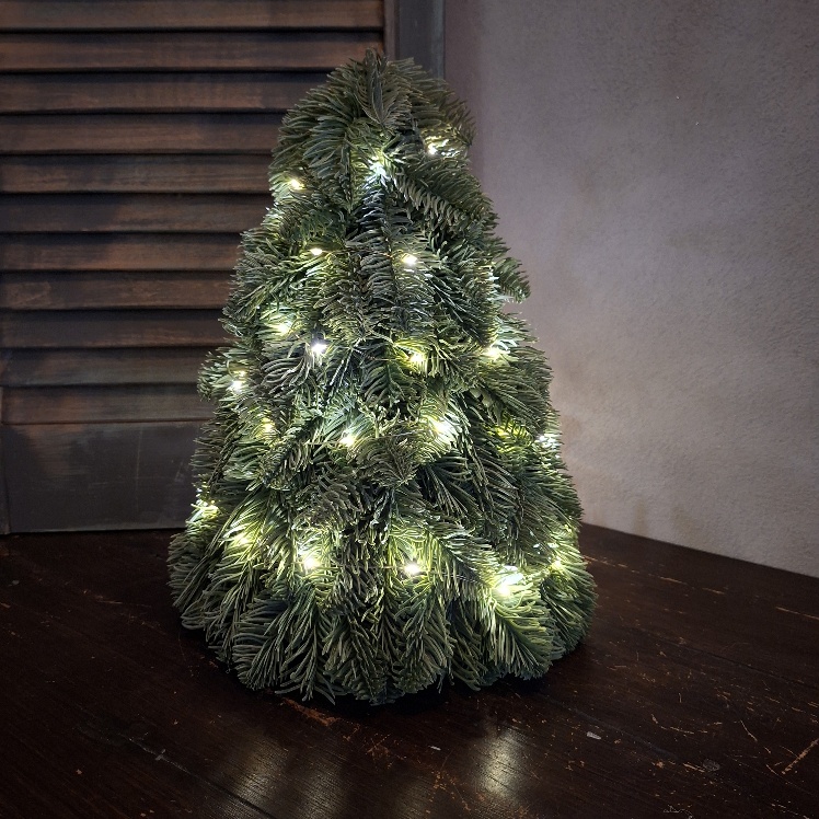Sylxz Nobilis kerstboom met lichtjes, de enige echte.