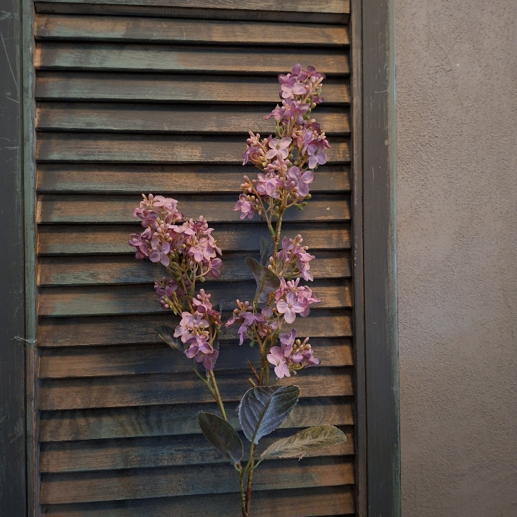Sering kunstbloem met bloemen in een lila kleur, van het merk Sylxz.