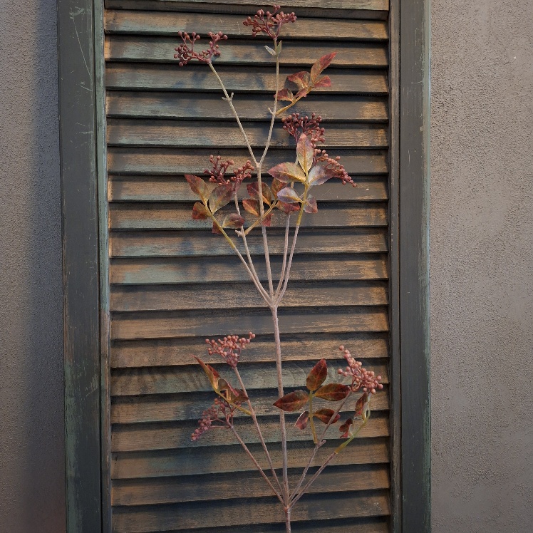 Spirea kunsttak met blad en bessen in herfstkleuren, van het merk Sylxz.