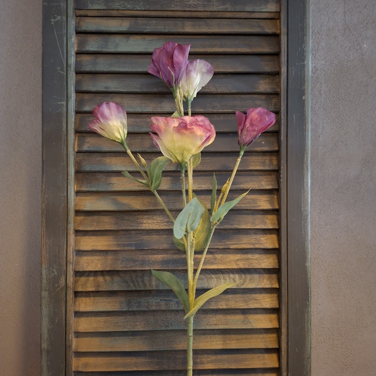 Lysianthus kunstbloem met bloemen in een lila kleur, van het merk Sylxz.